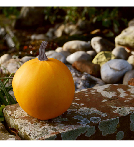 100 Piezas De Tallos De Calabaza Falsos, Suministros Para Ma