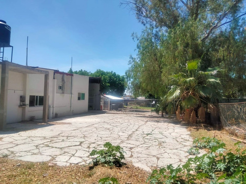 Terreno En Venta En La Col. Copalillo En Irapuato