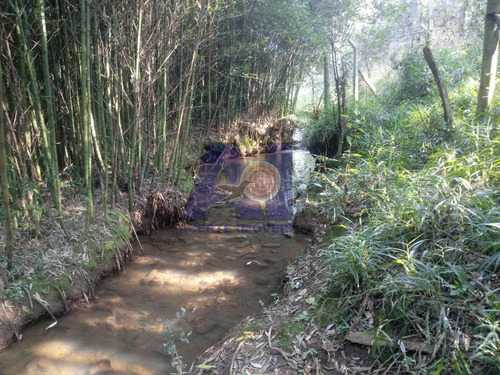 Imagem 7 de 10 de Chácara À Venda Na Avenquinha - Campo Alegre/sc - 106