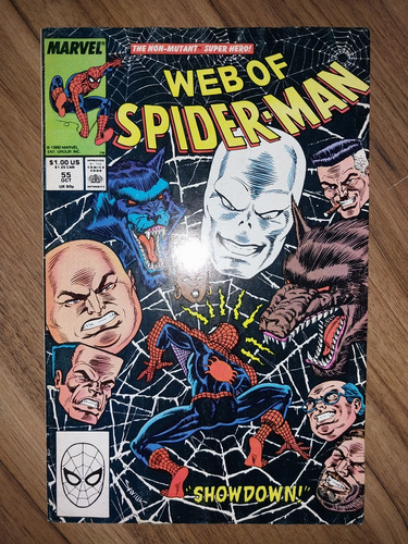Web Of Spider-man #55