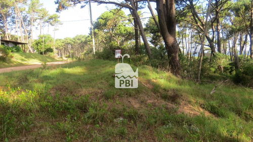 Imagen 3 de 5 de Terreno En Ocean Park - Ref : Pbi3014 - Punta Ballena Ocean Park