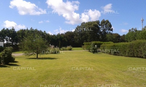 Imagen 14 de 30 de Chacra Con Casa En Venta Mangrullos De Punta Piedra- Ref: 27705