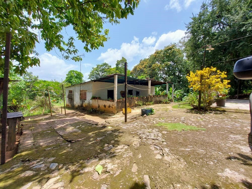Imagen 5 de 12 de Se Vende Casas De Campo 2806m² 5h4b6p En Barlovento