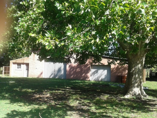 Imagen 12 de 14 de Quinta Chacra Casa Campo En Venta En Ranchos - Oportunidad