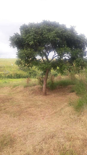 Ar20- Lotes 10 Minutos Centro Igarata Prox A Represa Corra