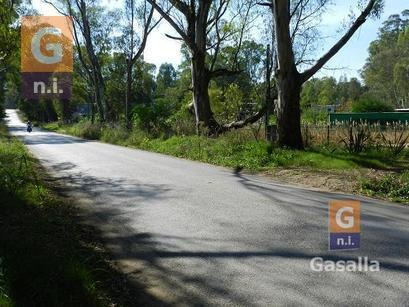 Imagen 10 de 10 de Terreno En Punta Del Este (el Tesoro) - Ref. 1467