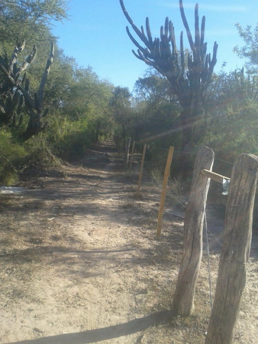 Venta Campo En Figueroa, Santiago Del Estero.