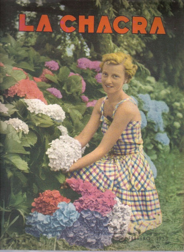 Revista / La Chacra / Nº 231 / 1950 / Hortensias En San Fern