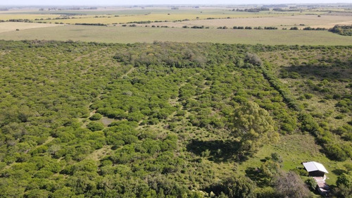 Chacra En Venta 4 Hectáreas, Gualeguaychú, Perdices.