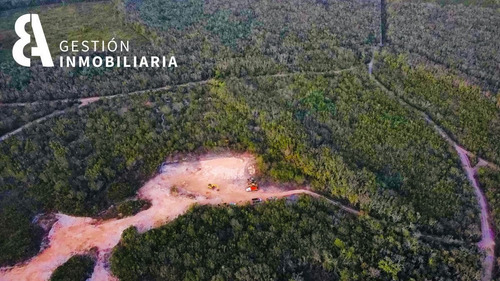 Imagen 10 de 10 de Terreno En Venta En Kuyabeh, Tulum, Qroo Ctv229