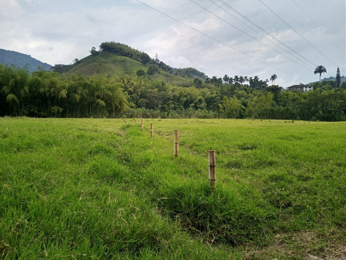 Lote En Venta En El Rosario- Manizales  (279025563).