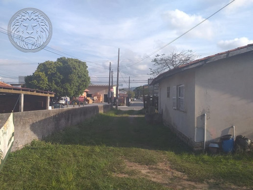 Imagem 7 de 15 de Terreno Comercial - Campeche - Ref: 1693 - V-1730