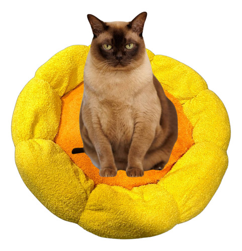 Cama Elevada Para Perro Gatos Camas De Perro Mascotas Xl