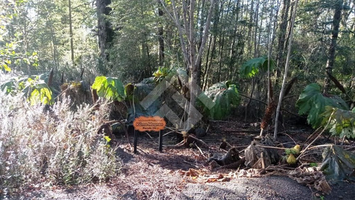 Sitio En Venta En Ensenada - Puerto Varas, Camino El Zorro