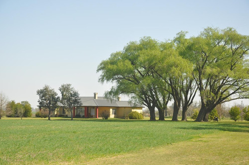 Imagen 4 de 30 de Venta Campo 19has Torres Lujan