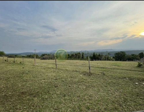 Imagem 3 de 24 de Excelente Sítio À Venda Com Ponto Comercial - Distrito De Piramboia - Anhembisp - 00038