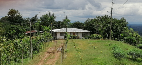 Se Vende Finca 