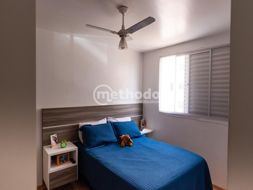 Apartamento - Ap01381 - 69286870