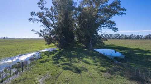 Campo En Venta Mixto 188ha San Andres De Giles