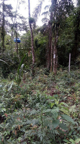 Imagem 13 de 14 de Sitio Com Uma Casa 2 Quartos