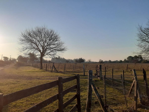 Imagen 3 de 5 de Gran Chacra En Venta En Chacras De Robles, Exaltación De La Cruz
