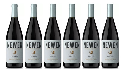 Vino Newen Pinot Noir X750cc Caja X6