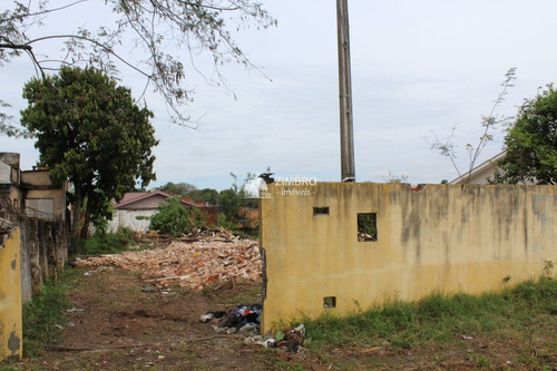 Imagem 5 de 9 de Terreno Para Construção 12x35 - Bairro Noal - 38284