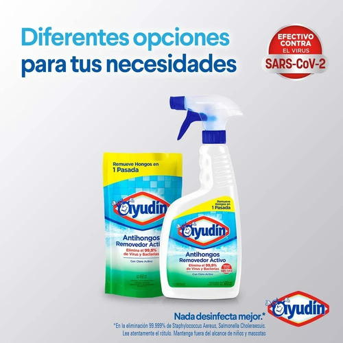 Ayudin Antihongos Doypack X 450 Ml