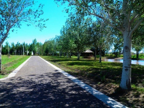 Imagen 8 de 16 de Terreno Pinares Del Sur