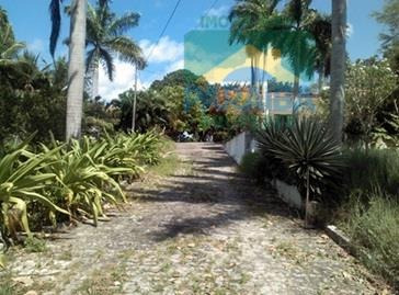 Imagem 9 de 15 de Sítio Rural À Venda, Conde, Conde - Si0001. - Si0001