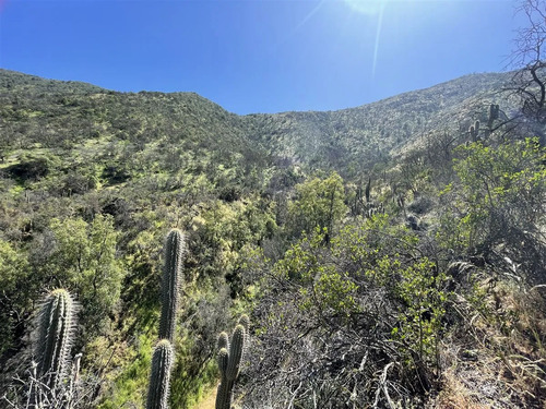 Sitio En Venta En Curacaví