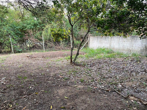 Imagem 9 de 14 de Terreno - Te00022 - 68225325