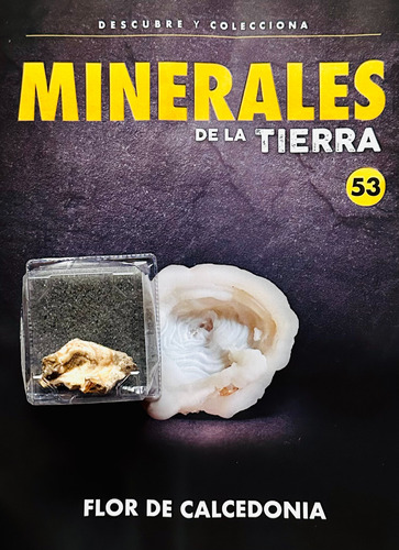 Coleccion Minerales Nº 53 Flor De Calcedonia + Piedra