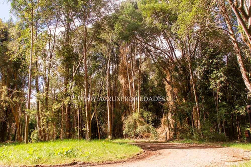 Parcela En Condominio En Camino Braunau A Las Quemas