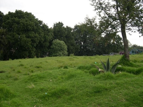 Imagen 9 de 12 de Terreno Para Desarrollo Residencial En Venta