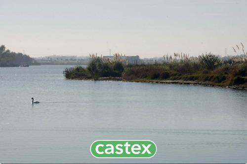 Imagen 19 de 22 de Lote Con Salida Al Lago En La Isla, Nordelta