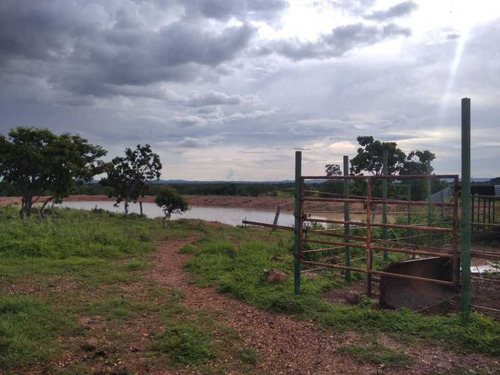 Imagen 15 de 19 de Finca De 1.410 Has En Guarico Para Actividad Agropecuaria.