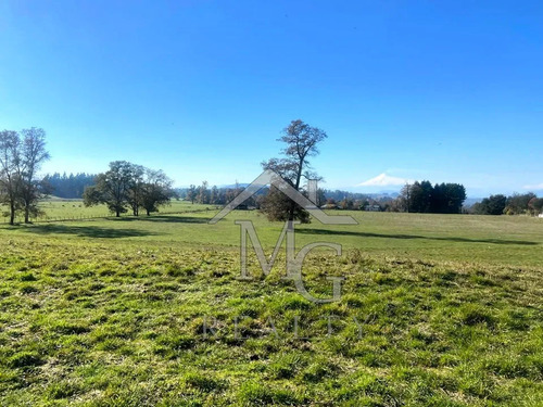 Sitio En Venta En Panguipulli