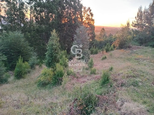 Hermoso Terreno Con Vista Al Lago Ranco