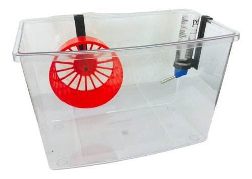 Imagen 4 de 6 de Jaula Para Hamster De Acrilico Con Rueda Bebedero Y Tapa