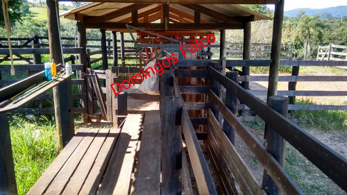Venda - Fazenda - Zona Rural - Águas De Lindóia - Sp - D0336
