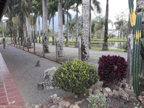 Imagem 5 de 18 de Terreno No Pirabeiraba Com 0 Quartos Para Venda, 18712 M² - Kt324