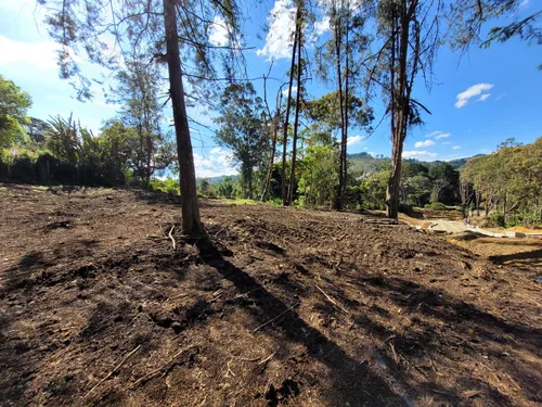 Lote En Venta, V. Llanogrande, Rionegro