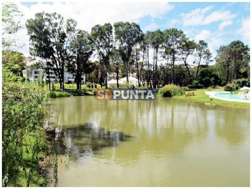 Imagen 15 de 30 de Apartamento En Alquiler Anual