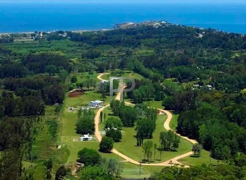 Imagen 12 de 12 de Casa En Venta Punta Ballena 3 Dorm, 1209 M2 #1805