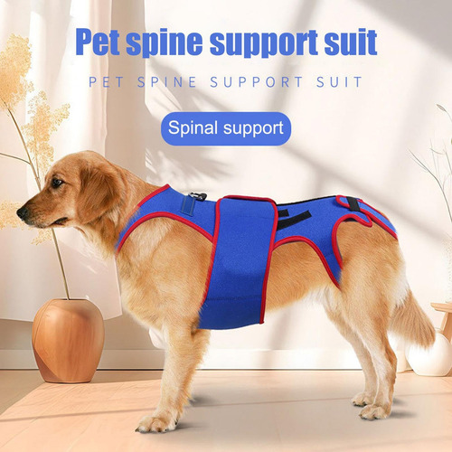 Soporte De Espalda De Perro Ajustable Con Anillo D Y Tiras