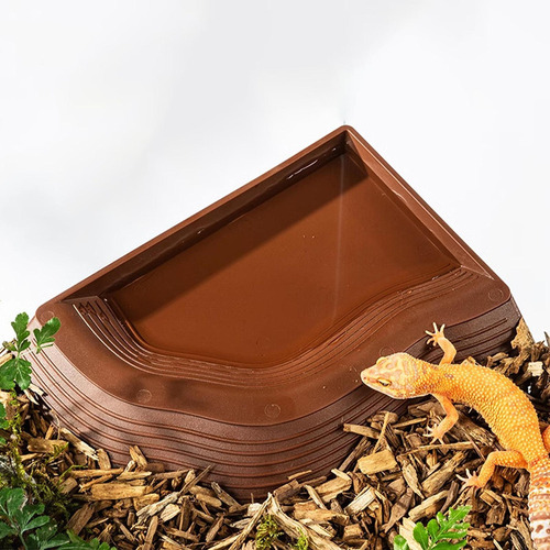 Reptile Water Bowl Aquarium Decoration S
