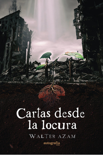 Cartas Desde La Locura, De Azam, Walter. Editorial Autografia,editorial En Español