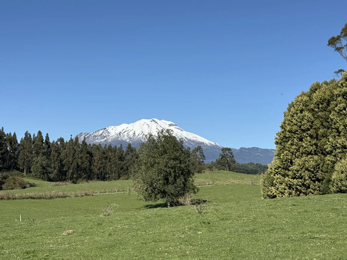 Parcela Los Riscos | Camino A Ensenada