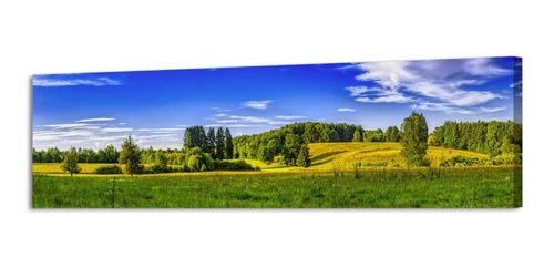 Cuadro Paisaje Pradera Venezuela En Lienzo Foto Canvas